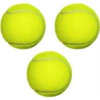 Tenis Topu Antrenman Sarı 3 Adet Birden Köpek Dişleme Topu Oyun Topu