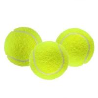 Tenis Topu Antrenman Sarı 3 Adet Birden Köpek Dişleme Topu Oyun Topu