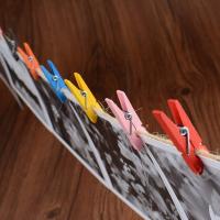 İp Hediyeli Renkli Mini Mandal Fotoğraf Süsleme Mandalı VİDEOLU