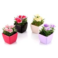 Renkli Mini Plastik Saksılı Çiçek Dekoratif (3 Adet Birden)